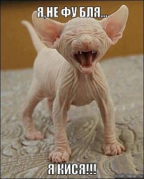 без заголовка 16.09.2021